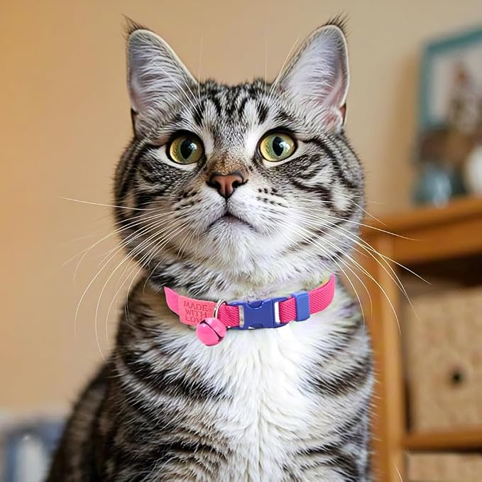 Elastic Cat Collar 2 Pack of Safety Quick Release Cat Collars - Image 5
