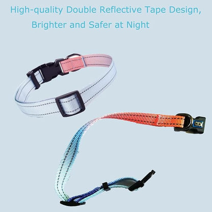Roses&Poetry Reflective Dog Collar - Image 5