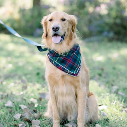 Lionet Paws Christmas Dog Bandana Washable Cotton Handkerchief Scarf Triangle - Image 7