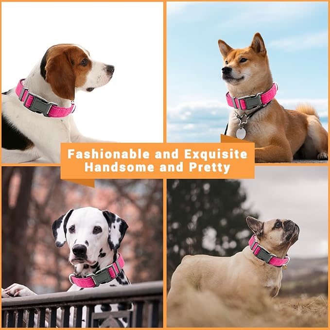 2 Pack Reflective Dog Collar - Image 5