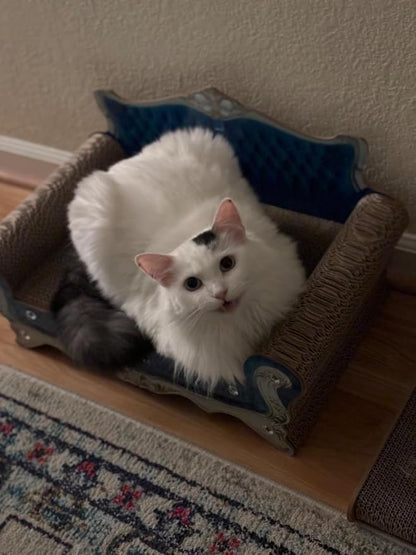 Luxury Cardboard Cat Scratcher Sofa Bed, Couch Shaped Cat Scratching Board - Image 9