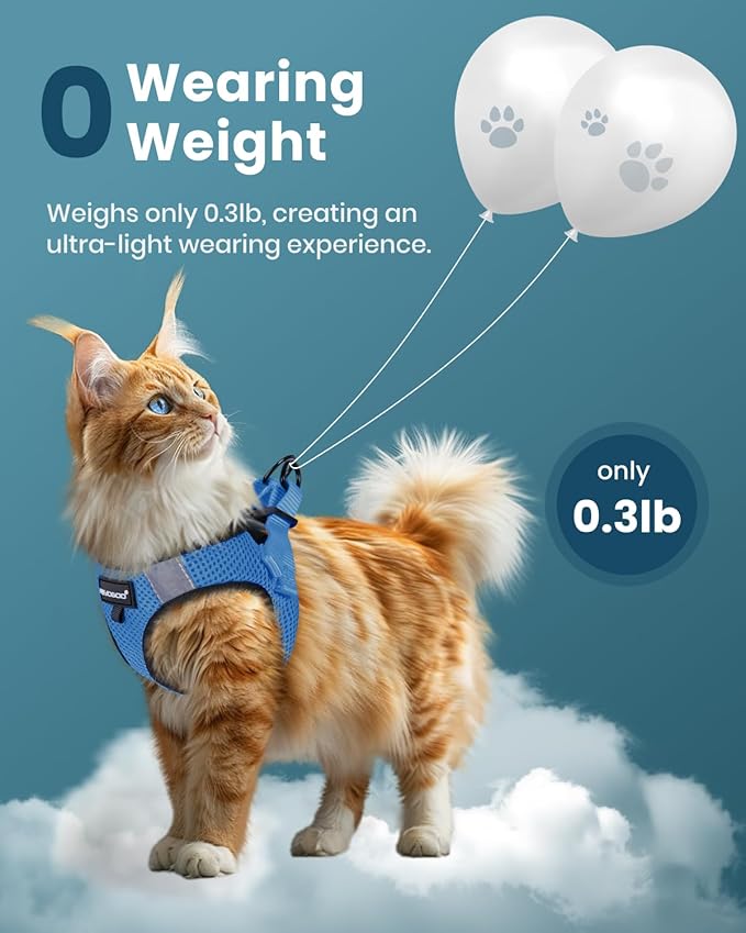 FAYOGOO Cat Harness, Cat Leash and Harness Set - Image 4