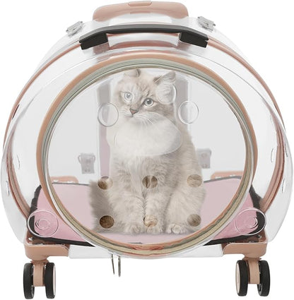 Transparent & Fully Breathable Hard Cat Carrier by CeRaBuRET