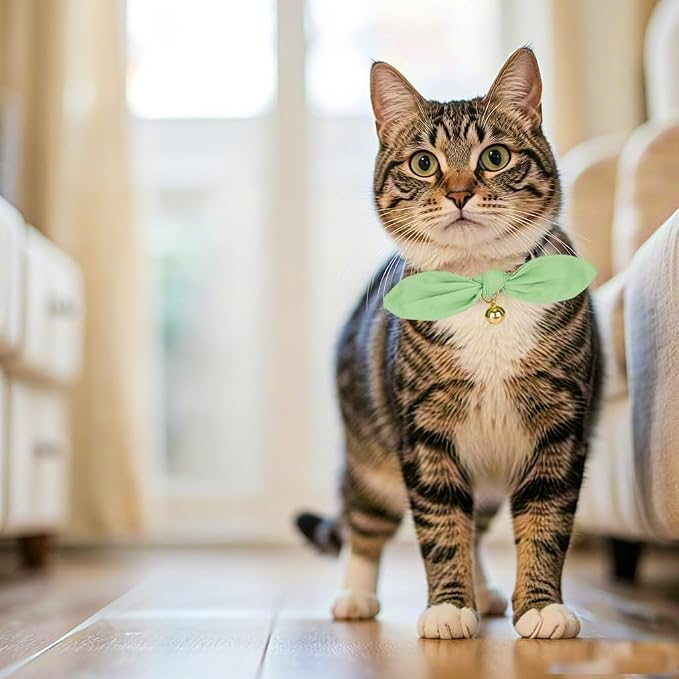 Bunny Ear Cat Collar with Bell and Bow Tie, Breakaway Cute Bowtie Kitten Collars - Image 4