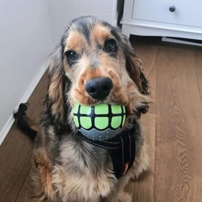 Dog Balls Toys Squeaky Fetch - Image 5