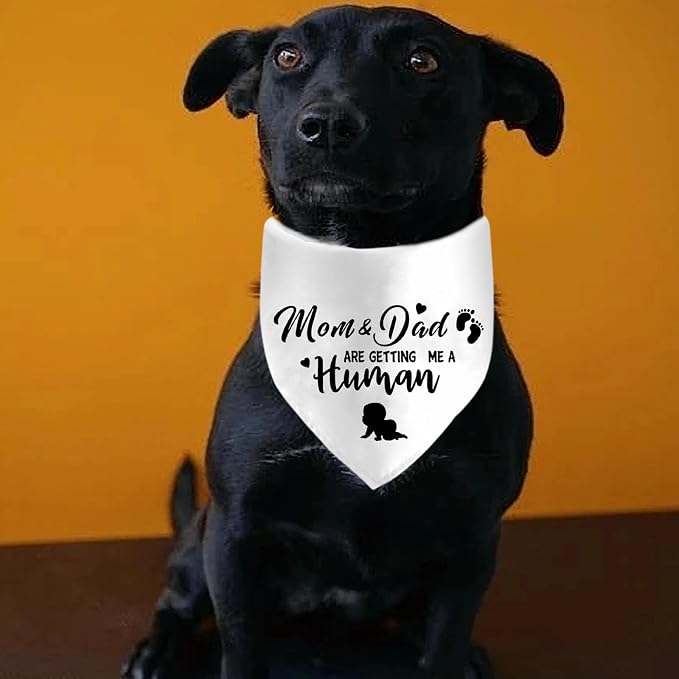 Mom&Dad are Getting Me a Human Dog Bandanas, Pregnancy Announcement Dog Bandanas - Image 3