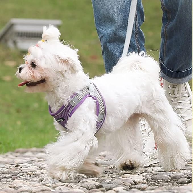 AIITLE Escape Proof Dog Harness - Image 7