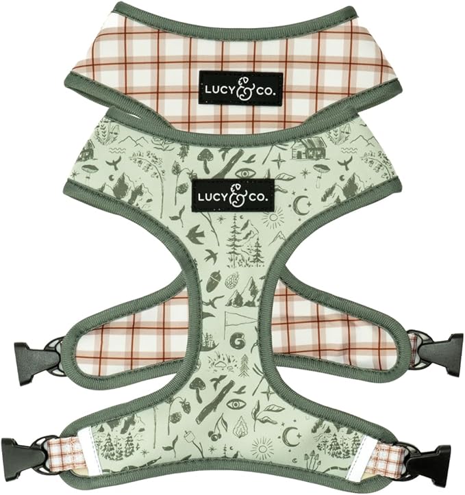 Lucy & Co. Cute Reversible Dog Harness Walking Halter by LucyCo