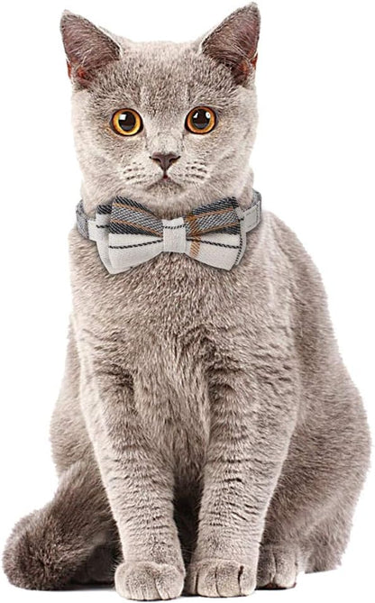 Faleela Breakaway Cat Collar - Image 5
