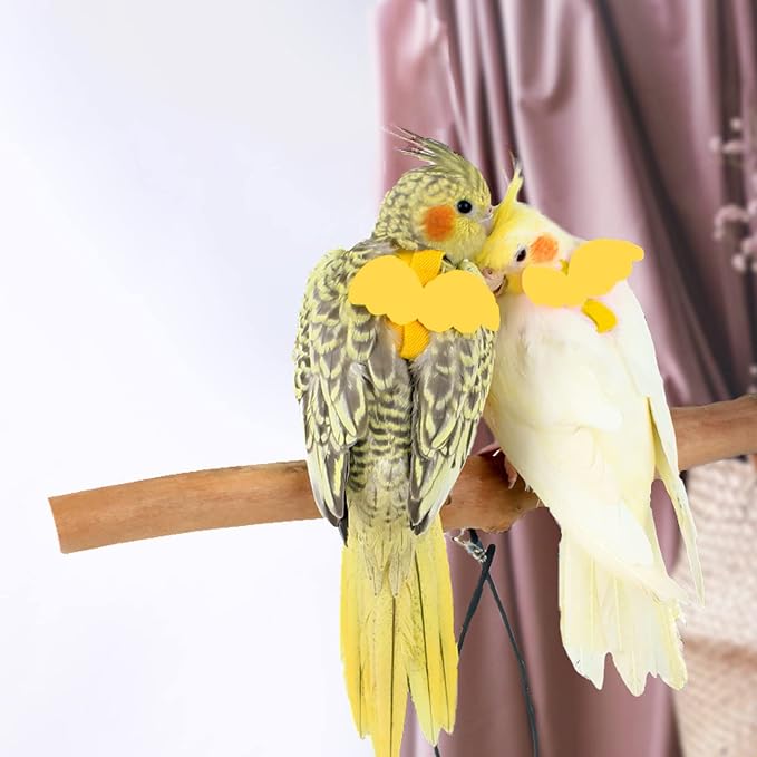 Dnoifne Pet Parrot Bird Harness and Leash, Adjustable Training Design Anti-Bite - Image 2