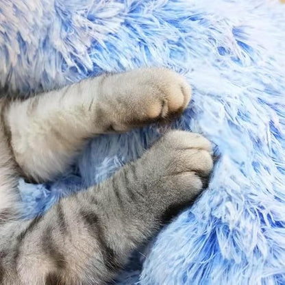 Cat Beds for Indoor Cats - Image 2