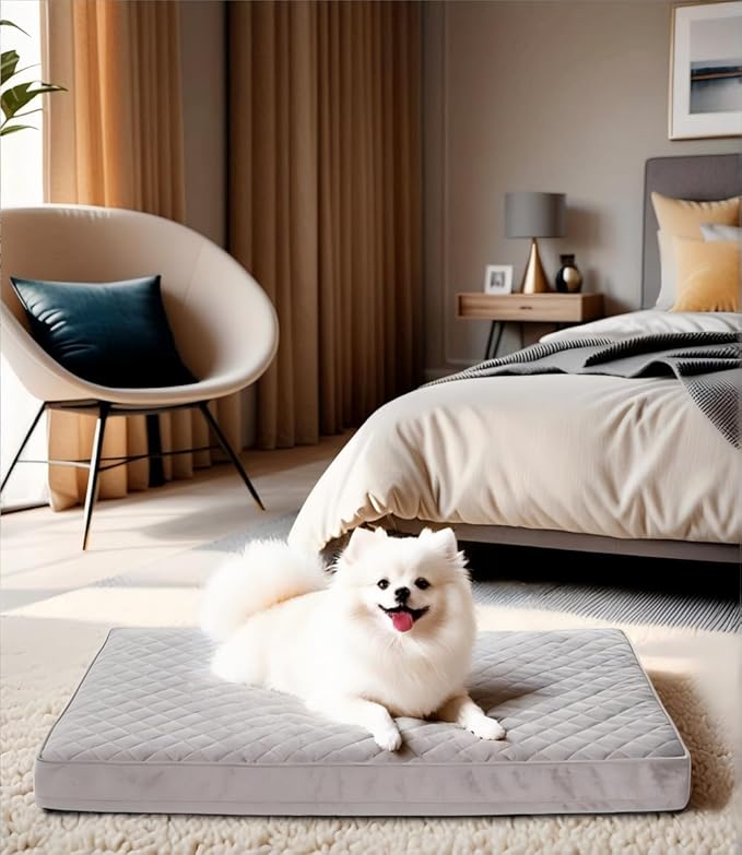 Orthopedic Dog Beds for Small Dogs Waterproof by NUPIDAPet%E2%80%99sHome