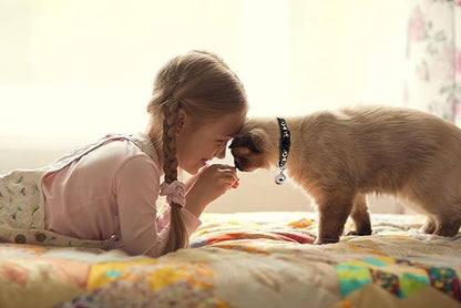 Baeuppit 2PCS Breakaway Cat Collars - Image 7