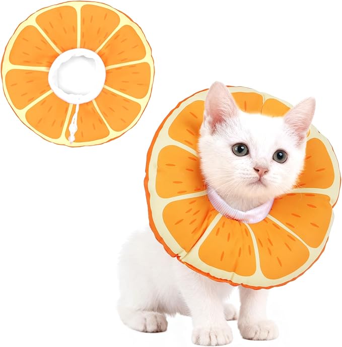Cat Cone Collar Soft, Waterproof Cat Recovery Collar by Hoopttay