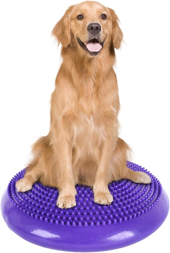 Dog Balance Disc 14", Dog Balance Equipment by Unknown