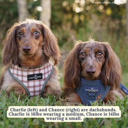 Lucy & Co. Cute Reversible Dog Harness Walking Halter - Image 7
