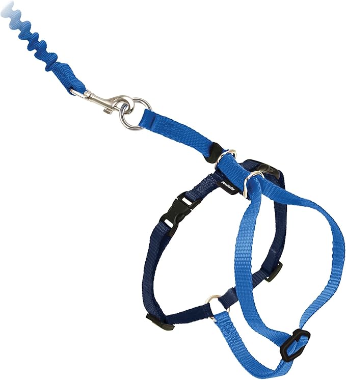 PetSafe Come with Me Kitty Cat Harness & Bungee Leash by PetSafe