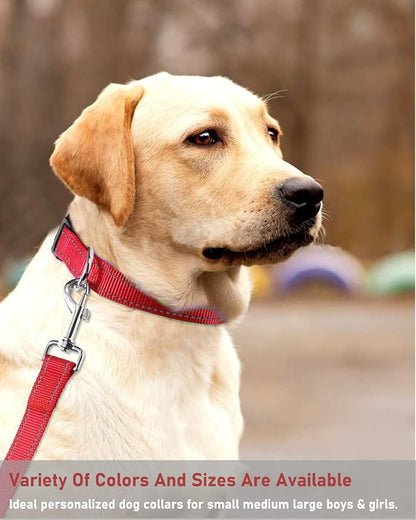 Reflective Dog Collar with Buckle Adjustable Safety Nylon Collars - Image 7