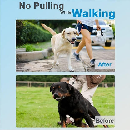 Prong Collar for Dogs, Dog Training Collar, Adjustable Size Dog Pinch No Pull - Image 2