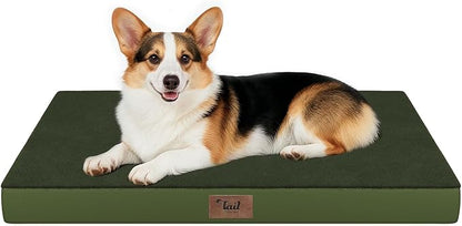 Orthopedic Dog Bed for Large Dogs, Plush Washable Pet Bed for Large Size Dogs by TailStories
