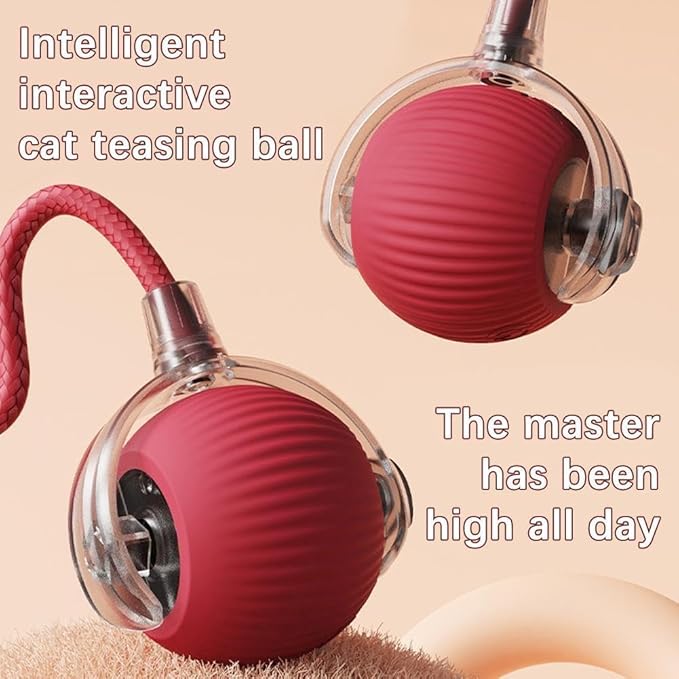 Interactive Cat Toy, Electric DogBall Toy, Cat Toys - Image 4