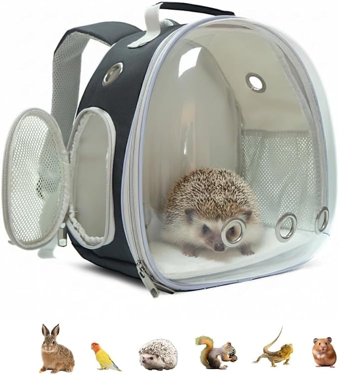 Small Animal Carrier Guinea Pig Backpack, Transparent, Breathable Backpack by Dotala