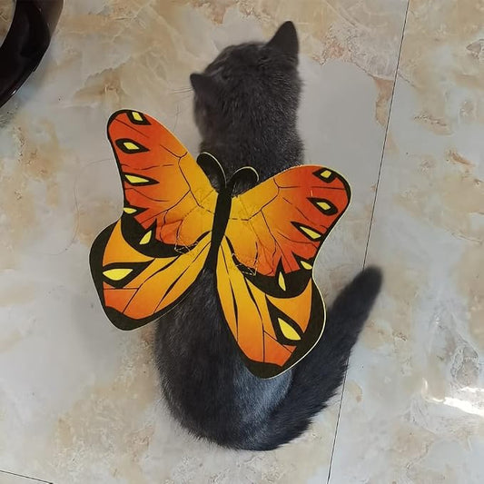 Pet Cat Bat Wings for Halloween Party Decoration, Puppy Collar Leads Cosplay - Image 2