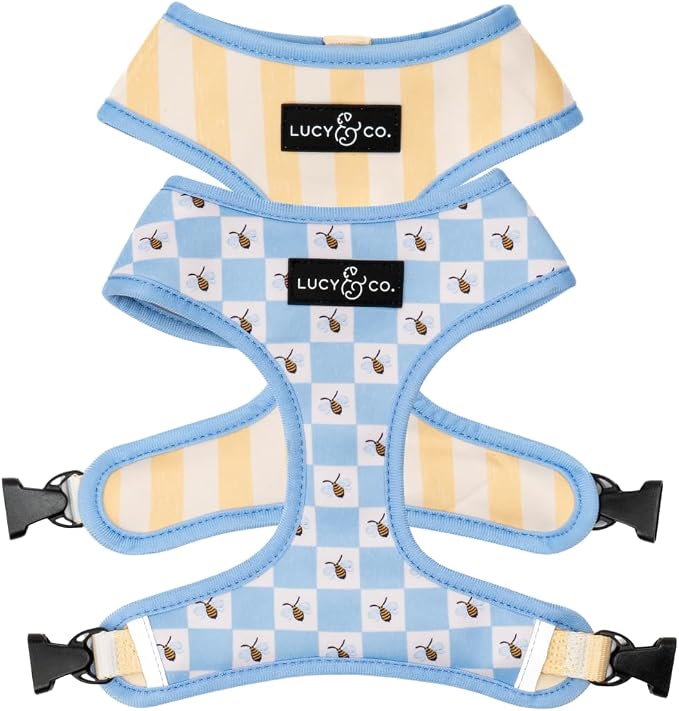 Lucy & Co. Bumbling Around Reversible Dog Harness, Adjustable Comfort Fit by LucyCo
