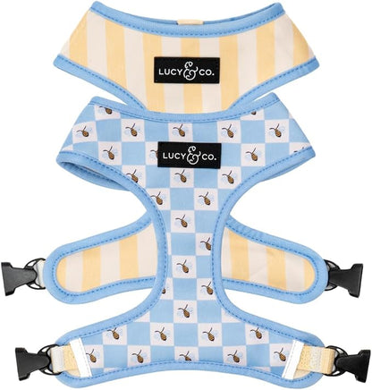 Lucy & Co. Bumbling Around Reversible Dog Harness, Adjustable Comfort Fit by LucyCo