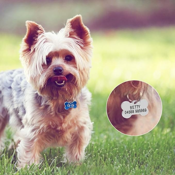 Personalized Dog Cute Paw Pet ID Tag - Image 7