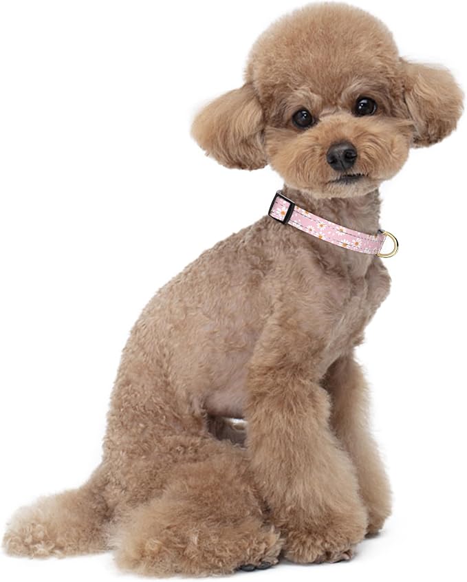 Reflective Dog Collar for Small Dogs, Cute Daisy Theme Adjustable Heavy-Duty - Image 2