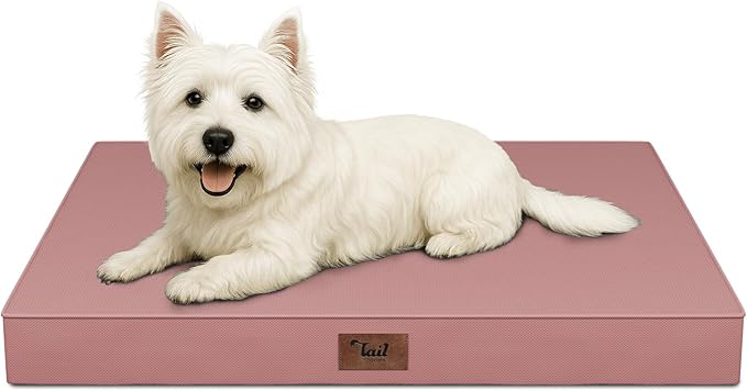 Outdoor Dog Bed for Small Dogs & Cats, Waterproof Dog Crate Mat Orthopedic Egg by TailStories