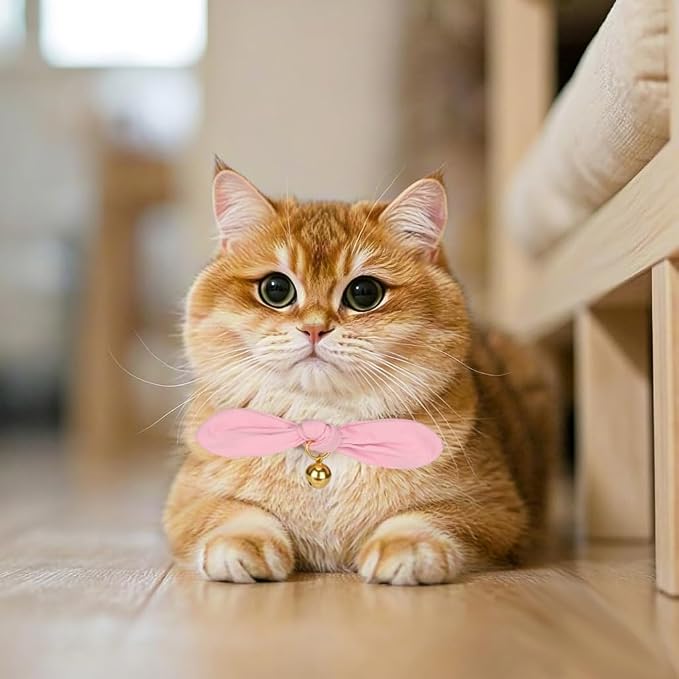 Bunny Ear Cat Collar with Bell and Bow Tie, Breakaway Cute Bowtie Kitten Collars - Image 4