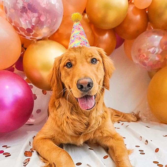 6pcs/Pack Dog Birthday Hat Party Hats Supplies - Image 7