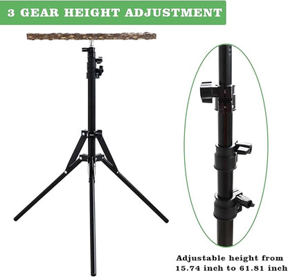 Wooden Bird Perch Stand with a Height Adjustable Tripod, Bird Training - Image 2