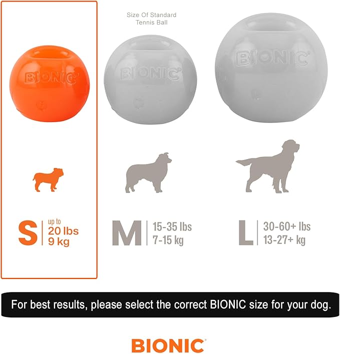 BIONIC Ball Dog Toy, Small - Image 2