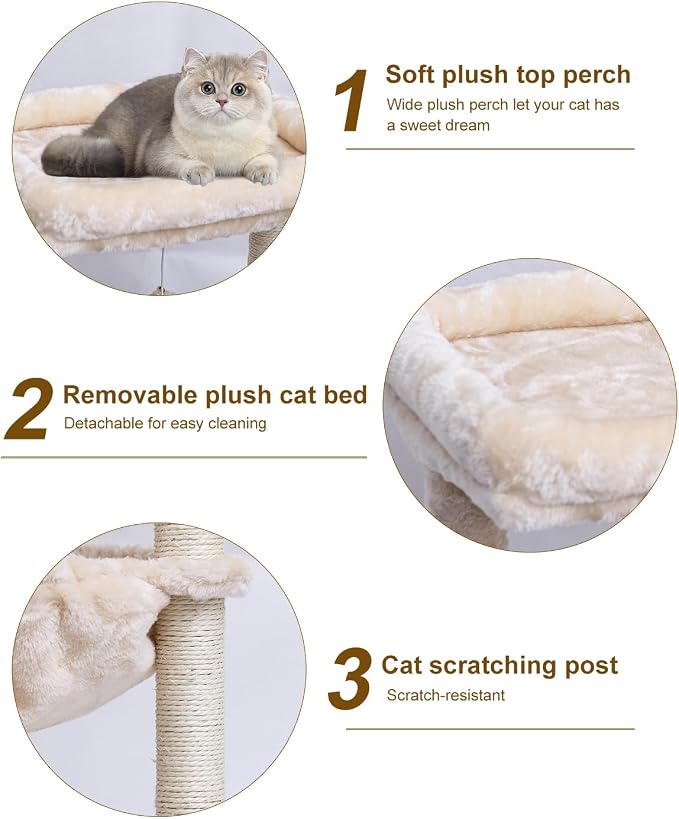 SYANDLVY Small Cat Tree for Indoor Cats, Activity Cat Tower - Image 6
