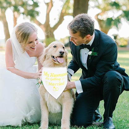 SZEE Wedding Decorations for Pets, 2 Pack My Humans are Getting Married Dog - Image 7