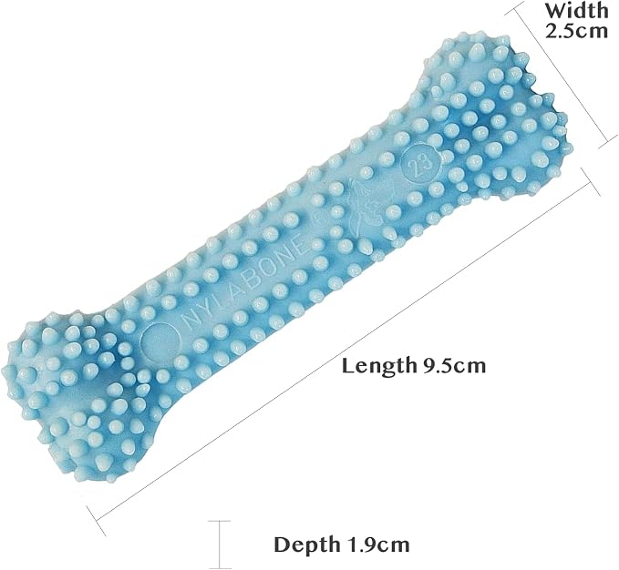 Nylabone Puppy Chew Blue Textured Teething Bone - Image 3