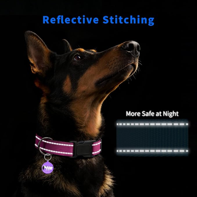 Reflective Dog Collar for Large Dogs - Image 3