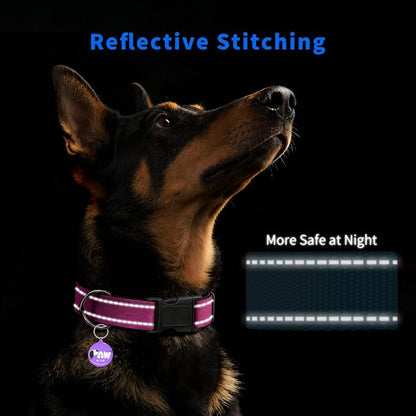 Reflective Dog Collar for Large Dogs - Image 3