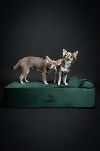 NOAH & PAW Dog Bed, Orthopedic Dog Beds - Image 7