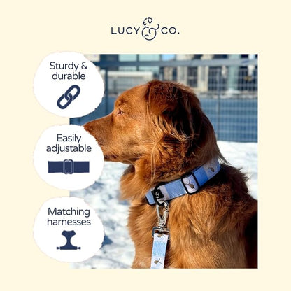 Lucy & Co. Bumbling Around Dog Collar, Adjustable Durable Dog Collar - Image 3