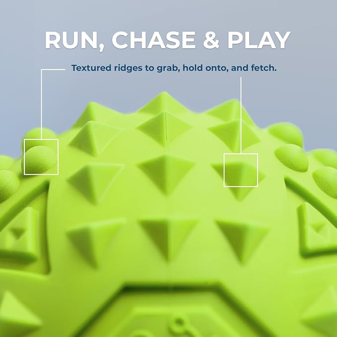 Best Pet Supplies Squeaky Dog Toys - Image 3