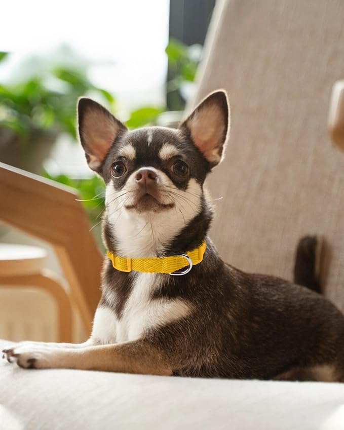 Dynmeow Soft and Breathable Cotton Dog Collar, Durable Adjustable Pet Collar - Image 6