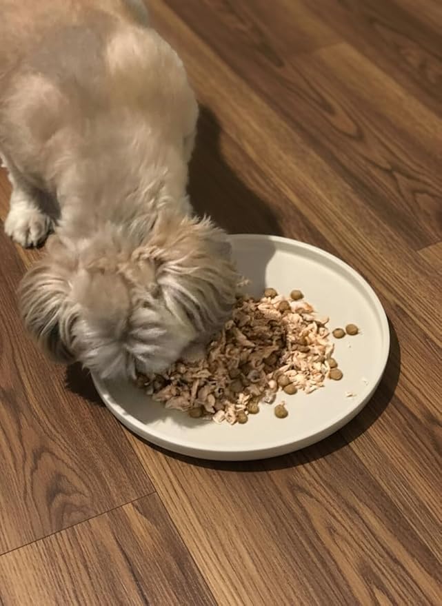 Arespark Cat Food Mat, Round Eating Plates Tray - Image 4