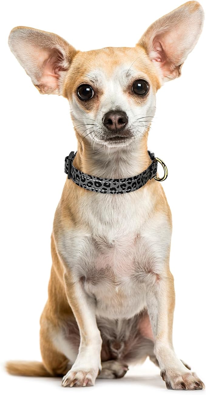 Reflective Dog Collar for Extra Small Dogs Cats, Cute Leopard Style Adjustable - Image 2