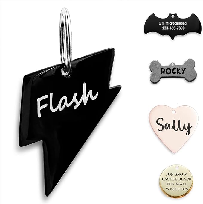 316 Surgical Grade Stainless Steel Personalized Dog & Cat ID Tags by ADOGINTHEHOUSE