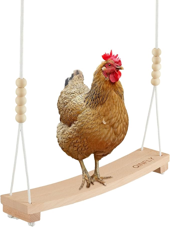 Arc-Shaped Chicken Swing Heavy Beech Wood Chicken Toys by Qinfly