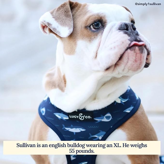 Lucy & Co. Reversible Dog Harness Walking Halter - Image 5